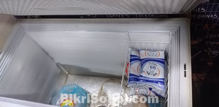 Singer Deep Freezer